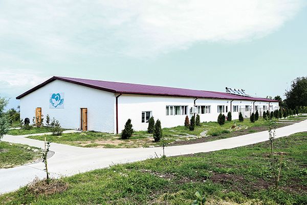 ამონაშვილი (7)