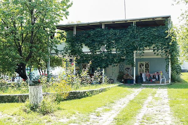 ამონაშვილი (8)