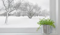 როგორ მოვამზადოთ ოთახის მცენარეები ზამთრისთვის: 8 რჩევა მცენარეების მოყვარულთათვის