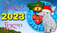 როგორ მოვიზიდოთ წარმატება, როგორ შევხვდეთ და როგორი იქნება 2023, წყლის შავი  კურდღლის წელი