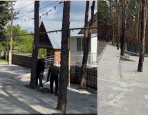ვინ ჩააბეტონა ხეები სურამში და რას აცხადებენ მუნიციპალიტეტის მერიაში