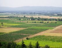 მიწის ნაკვეთები, რომელსაც მოქალაქე ვერ დაირეგისტრირებს, სახელმწიფოზე ან მუნიციპალიტეტზე დარეგისტრირდება