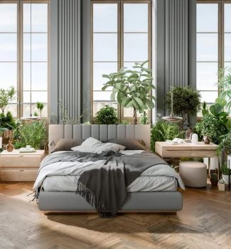 რატომ არ უნდა გქონდეთ ბევრი მცენარე საძინებელში